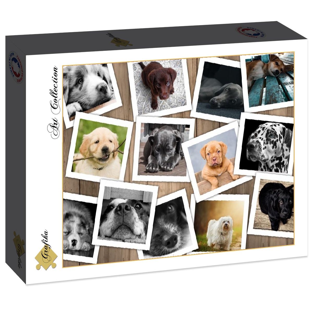 Hunde – 1000 Teile Puzzle – Box verblichen!